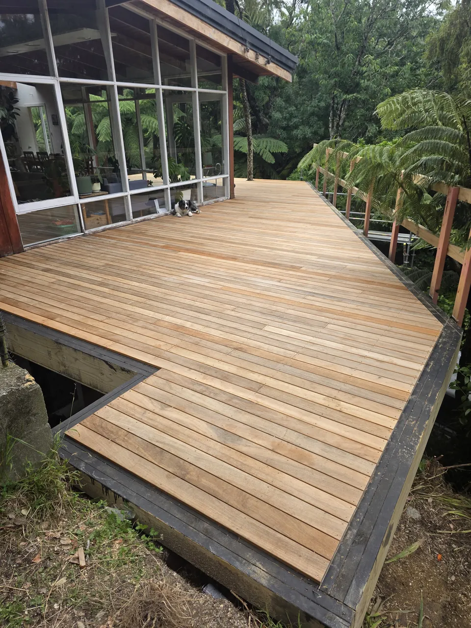 Hardwood deck wrapping around the home beside native bush